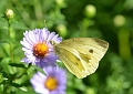 03 09 13_8132_edited-1